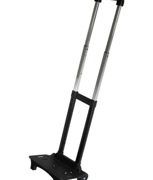 19004