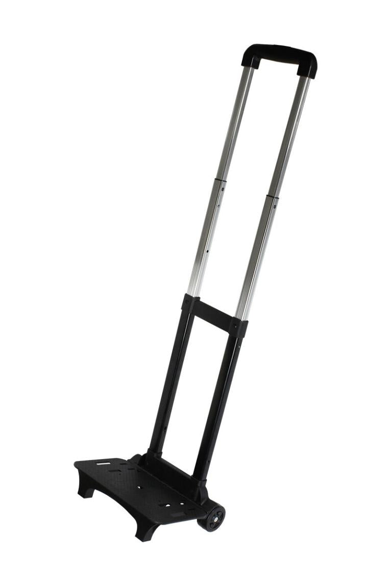 19004