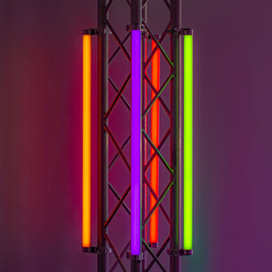 24295