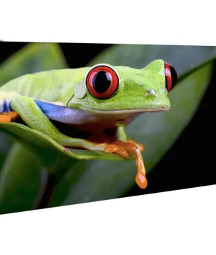 American DJ WMS2 | 2.6mm Pixel Pitch Wall Mount Panel