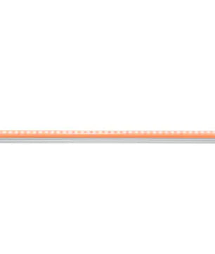 Ape Labs Stick 2.0 | Solo