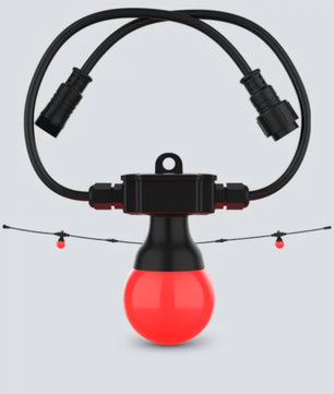 Chauvet DJ Festoon 2 RGB EXT | 20x Bulbs, 49ft String