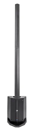 Peavey LNTM 1063 | Column Array